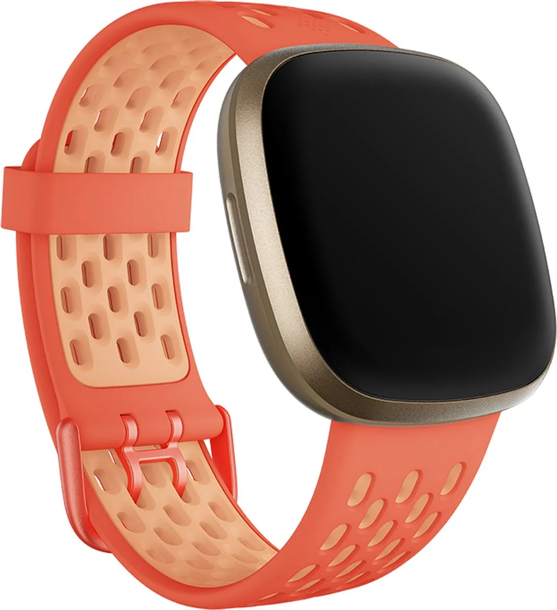 Fitbit Sportbandje FB174SBCRPKL
