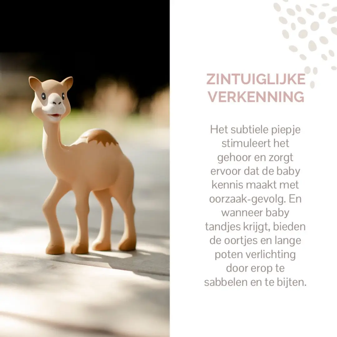 Sophie de Giraf Al Thir Dromedaris Bijtspeeltje - 18cm - Natuurlijk rubber - Zandbruin