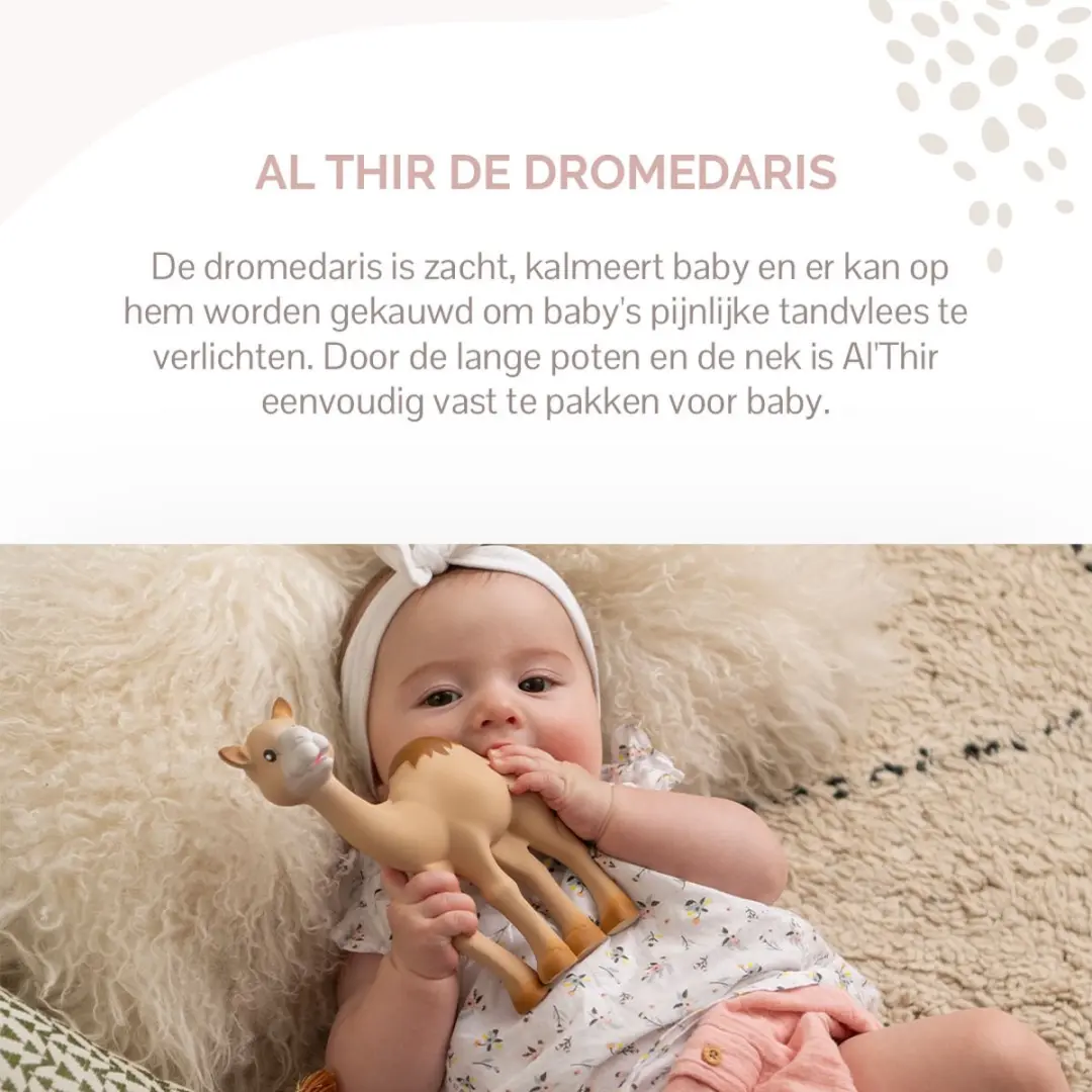 Sophie de Giraf Al Thir Dromedaris Bijtspeeltje - 18cm - Natuurlijk rubber - Zandbruin