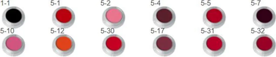 Grimas Lipstick Palette LF - 12 Kleuren