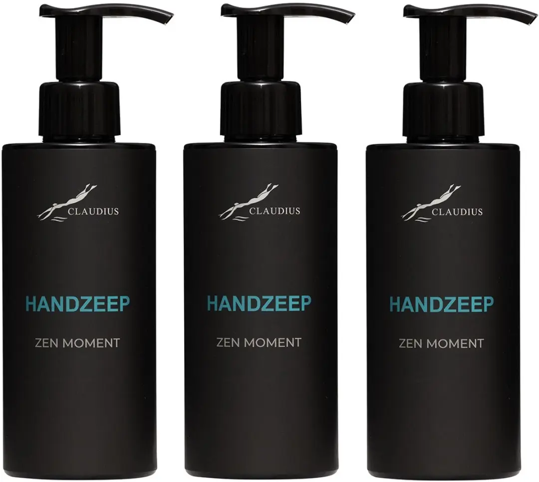 Splashbox Handzeep Zen Moment 300ml