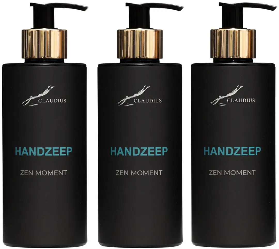 Splashbox Handzeep Zen Moment 300ml - Set van 3