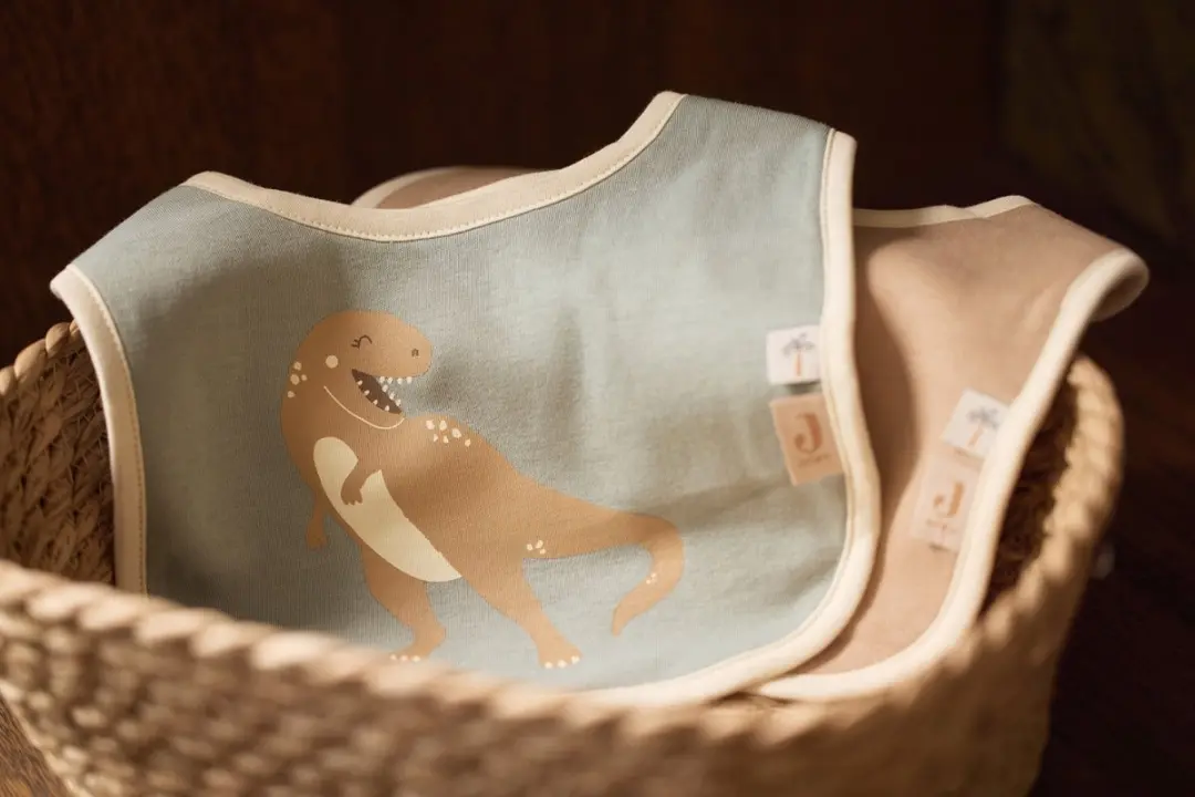 Jollein Baby Slabbetjes Roarsome - 5 Stuks