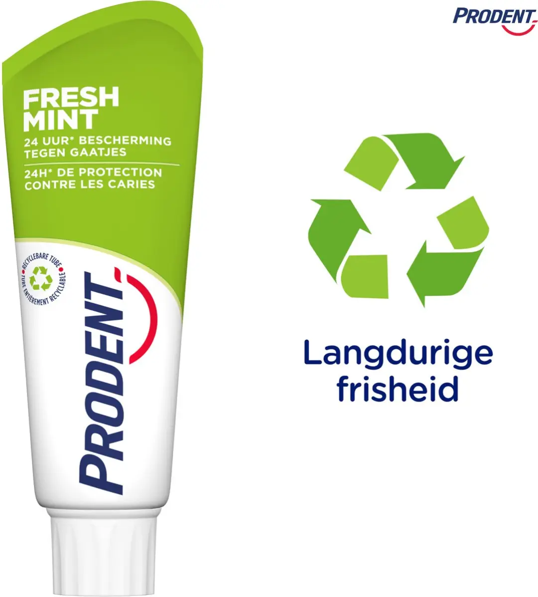 Prodent Fresh Mint Tandpasta 75ml - 12 Stuks