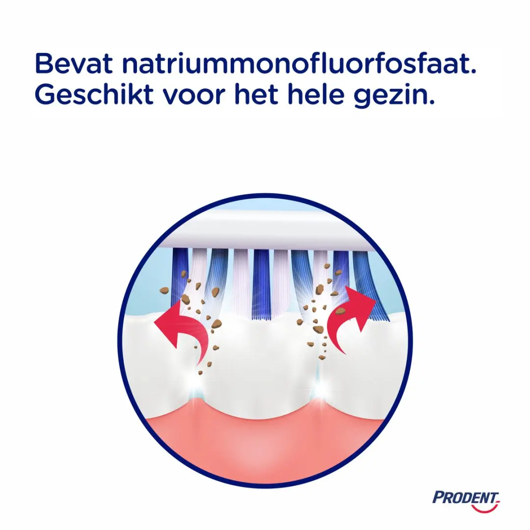 Prodent Fresh Mint Tandpasta 75ml - 12 Stuks
