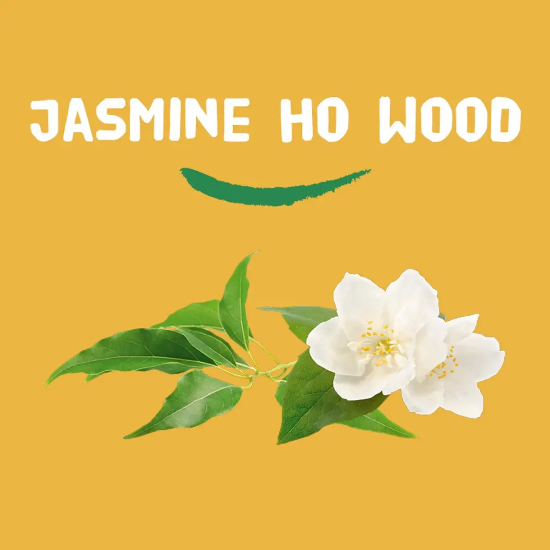 Happy Earth Jasmine Ho Wood Deodorant Roller - 6x75ml