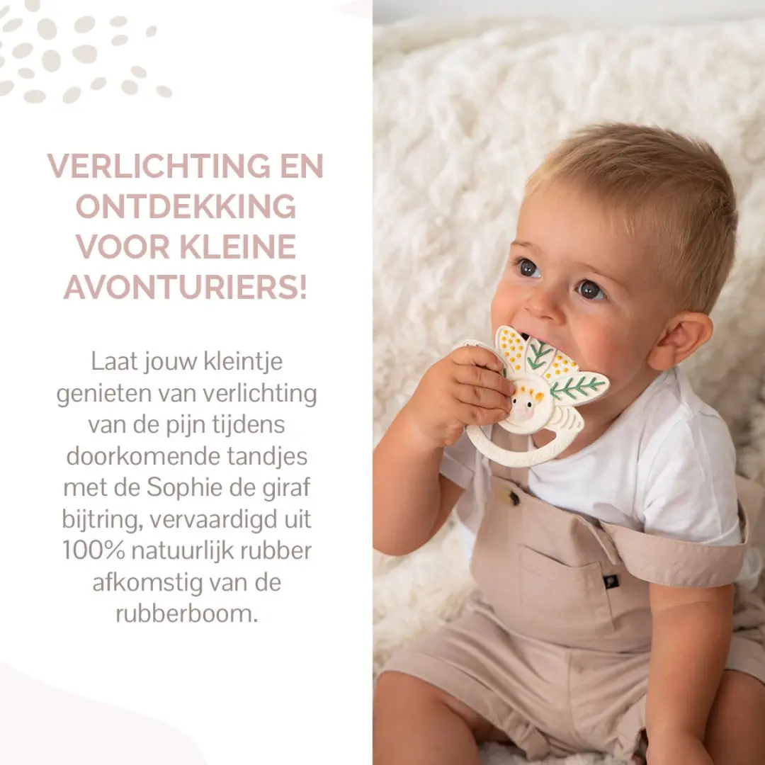 Sophie de Giraf Blad Bijtring 5-Senses - 100% Natuurlijk Rubber - 1x10cm - OK-Biobased