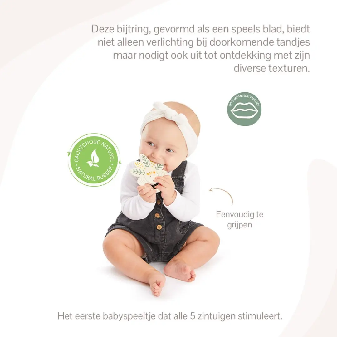 Sophie de Giraf Blad Bijtring 5-Senses - 100% Natuurlijk Rubber - 1x10cm - OK-Biobased