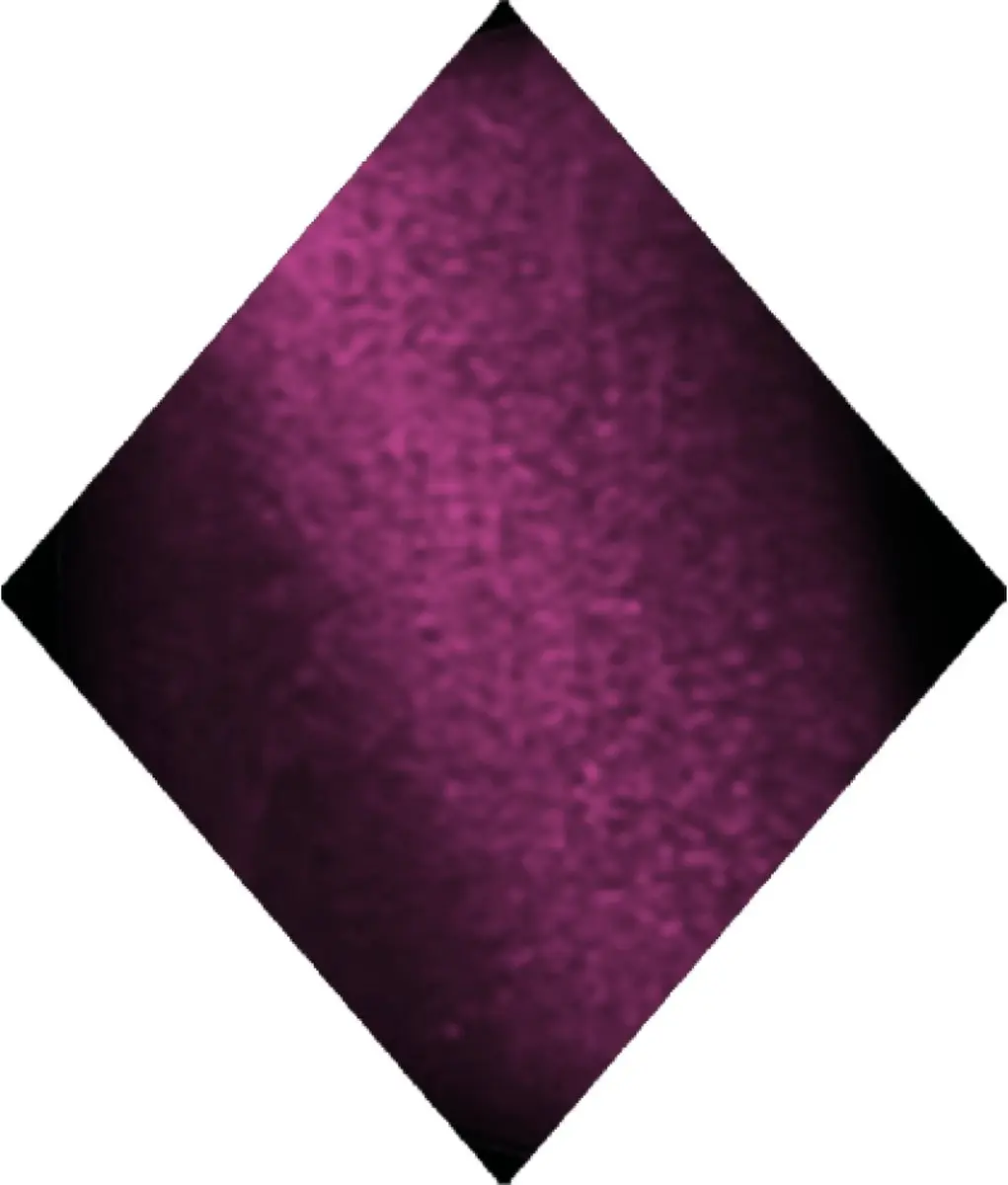 Upvoted Cat Eye Collection #002 Chartreux - 15ml