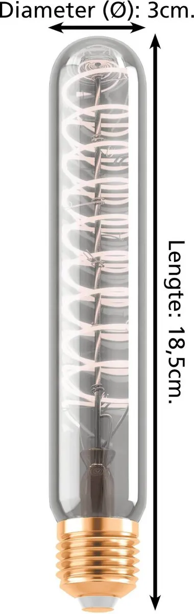 Eglo LED Lamp E27 T30 Rookglas 1700K