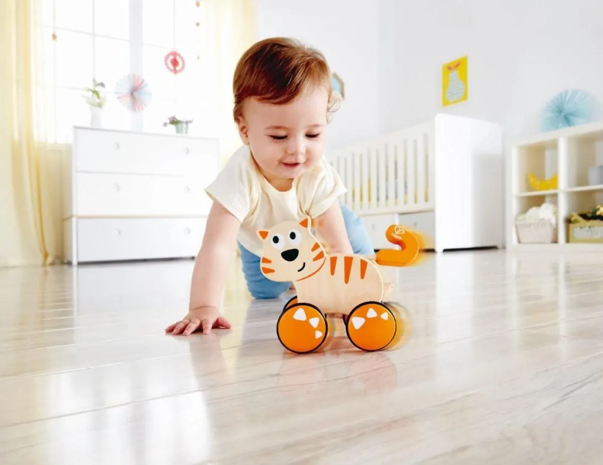 Hape Dante Push & Go! Duwdier - Veelkleurig