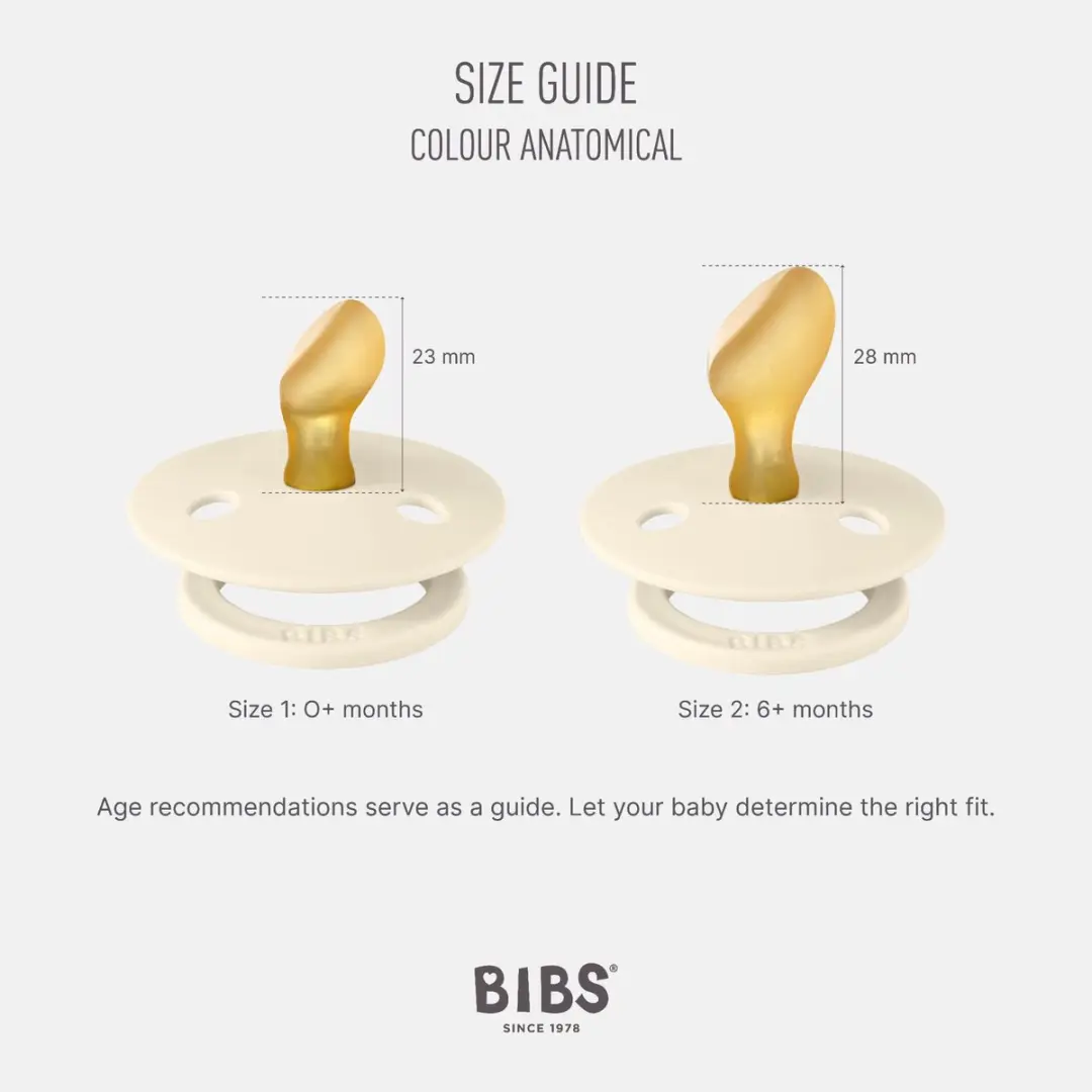 BIBS Colour Anatomical Glow Speen - Maat 2 - Sage Glow/Cloud Glow
