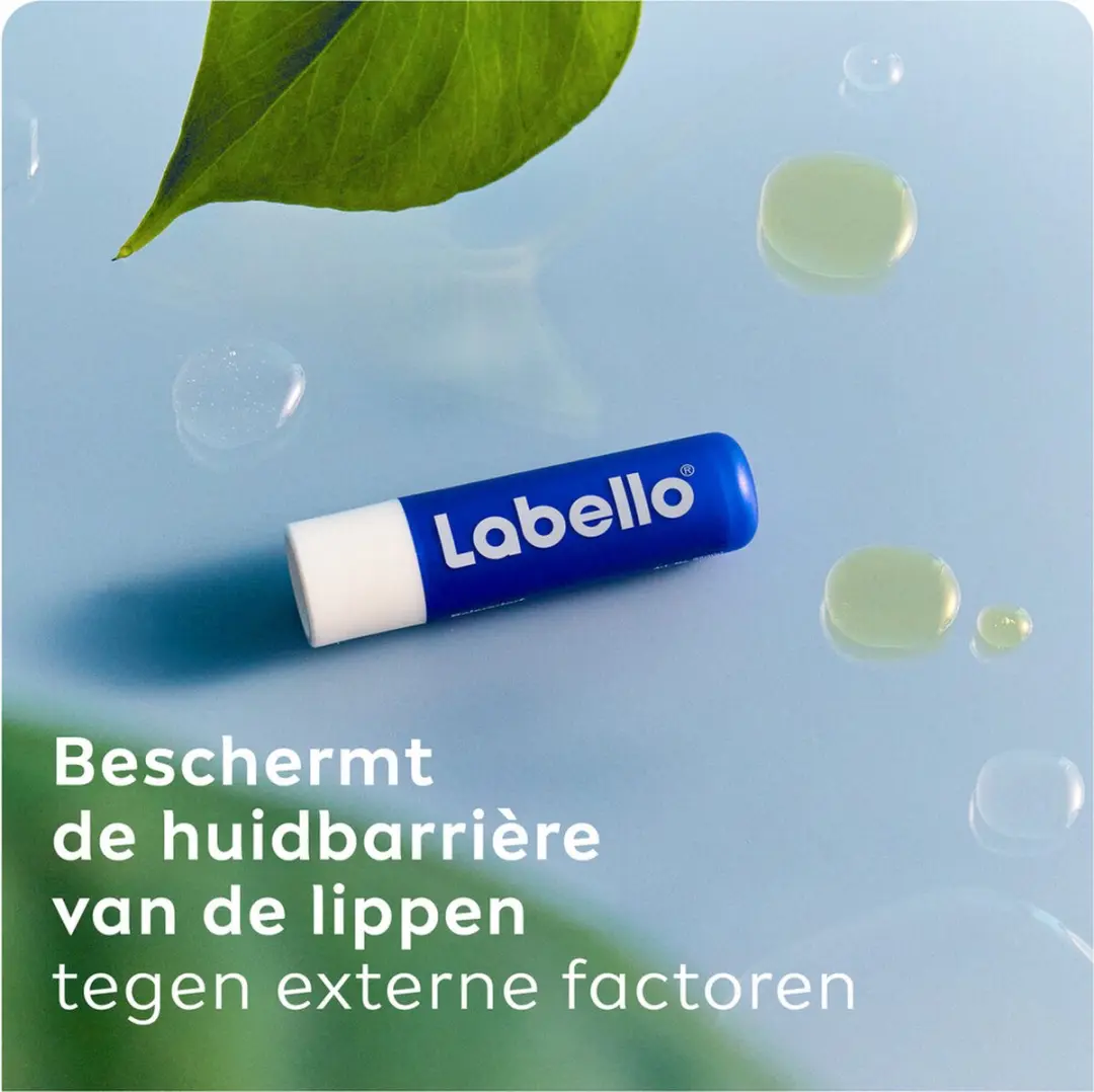 Labello Classic Care Lippenbalsem Original - 24 Stuks