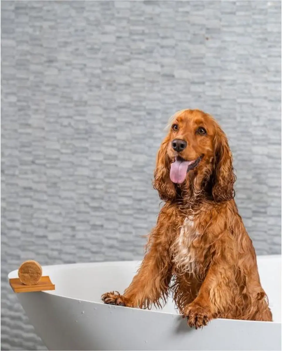 HappySoaps Honden Lange Vacht Shampoo Bar 70g