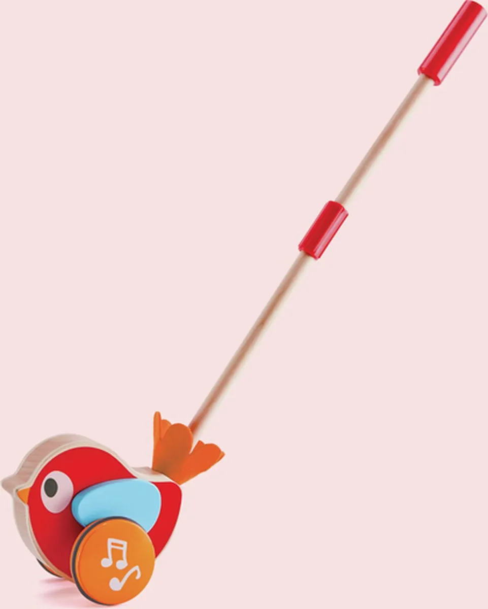 Hape Schiebevogel Lilly - 1 Duwstok - Veelkleurig