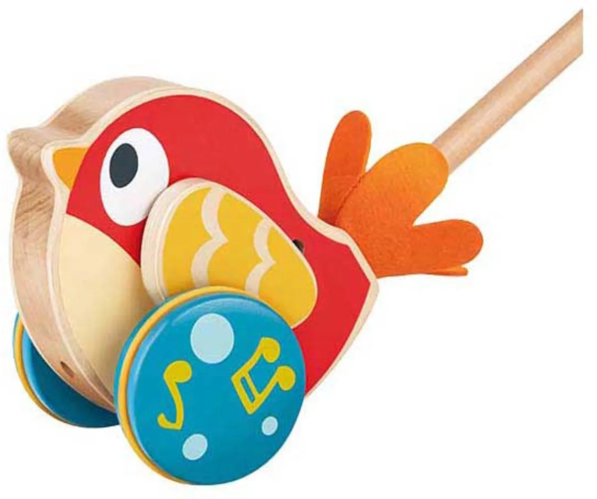 Hape Schiebevogel Lilly - 1 Duwstok - Veelkleurig