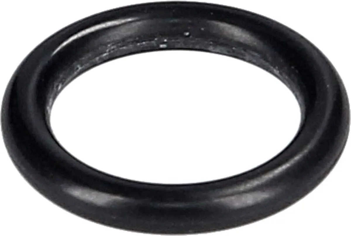 Karcher Afdichting O-ring