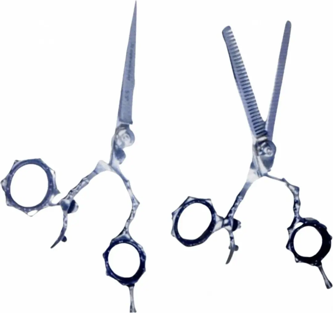 Guardian Beauty Scharenset 5,5 Inch