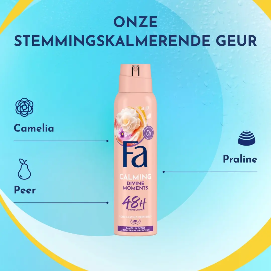 Fa Divine Moments Deo Spray 6x150ml
