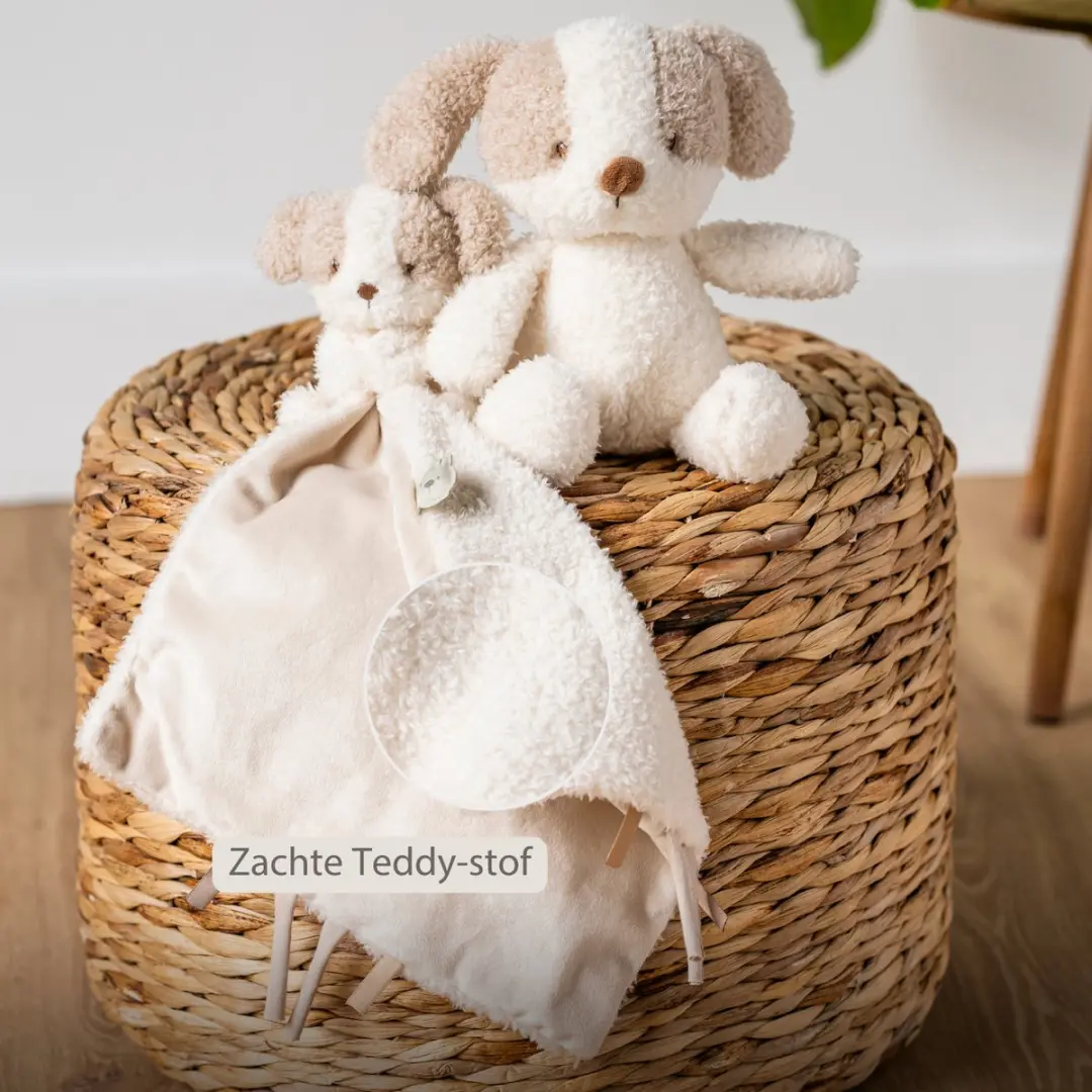 Nattou Teddy Baby Fopspeenhouder 26cm - Konijn - Ecru