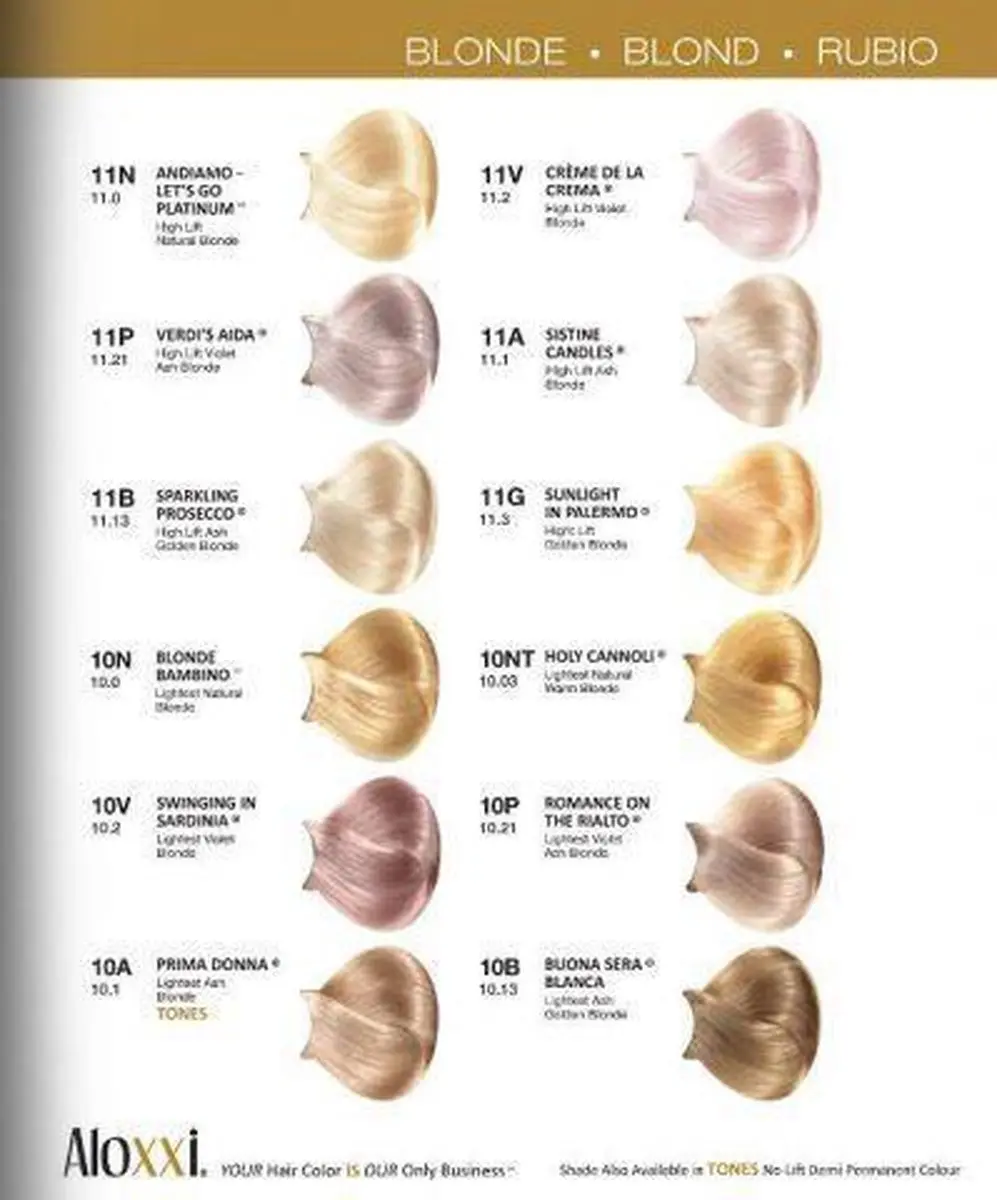 Aloxxi TONES 6K Dark Copper Blond - 60g