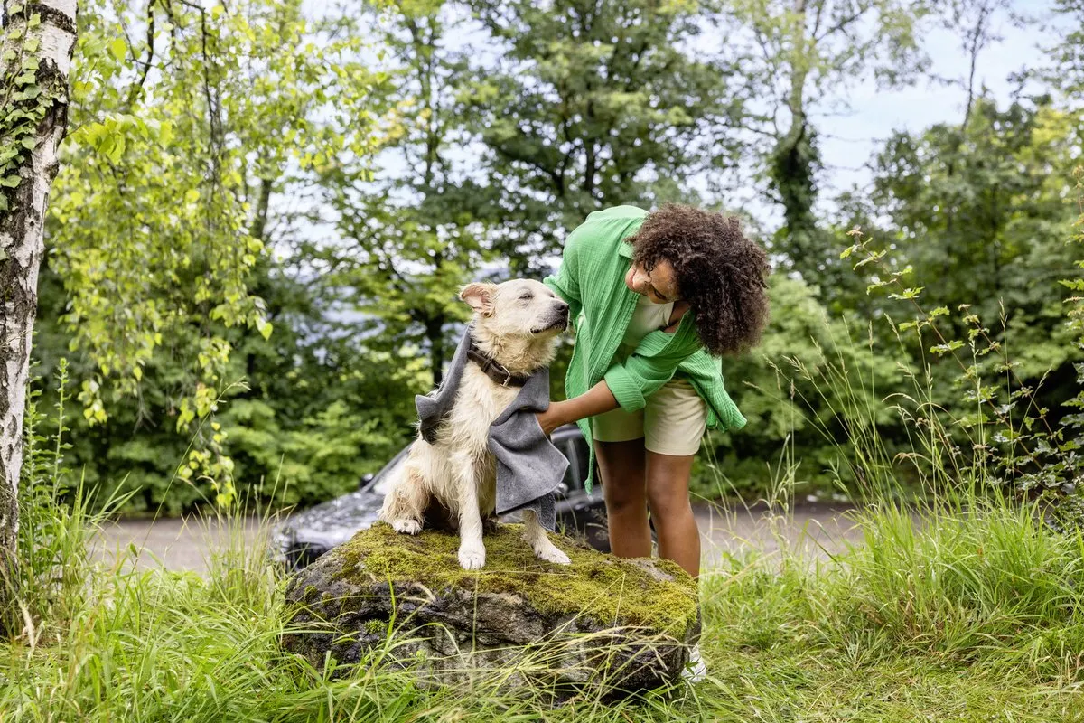Kärcher OC 4+ Pet Kit Accu Hogedrukreiniger - 8L - 120l/h