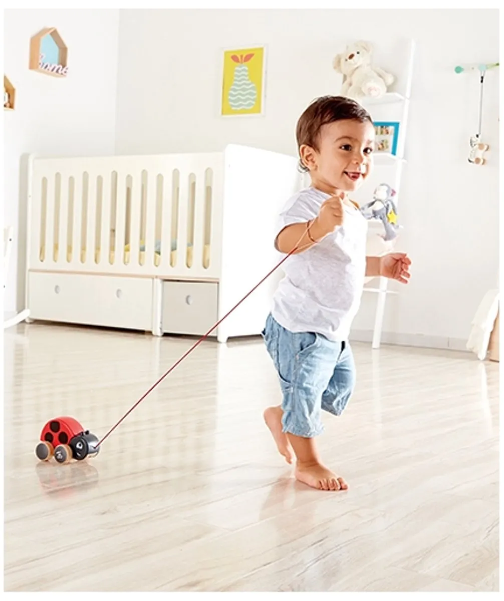 Hape Lieveheersbeestje Trekdier - Veelkleurig