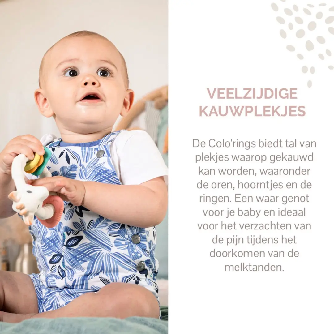 Sophie de Giraf Colo'rings Bijtring - Meerkleurig