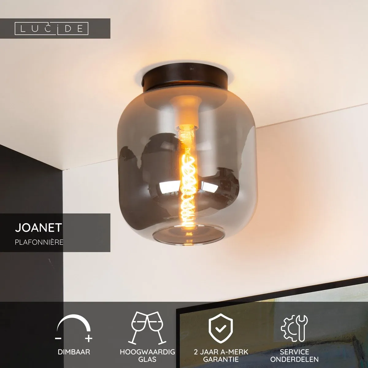Lucide Joanet Plafondlamp Ø25cm - Fumé