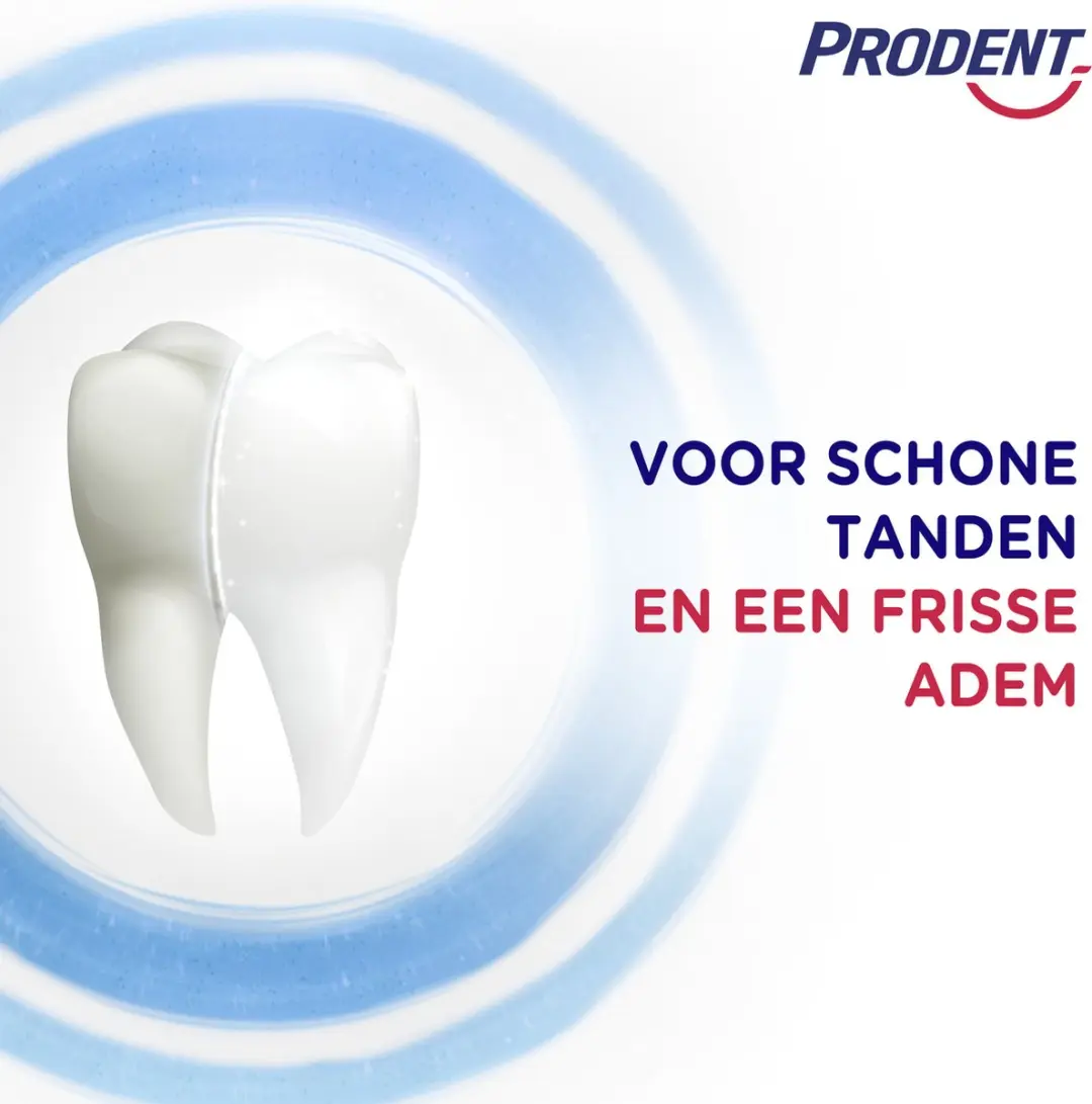 Prodent Cool Mint Tandpasta 75ml - 20 Stuks