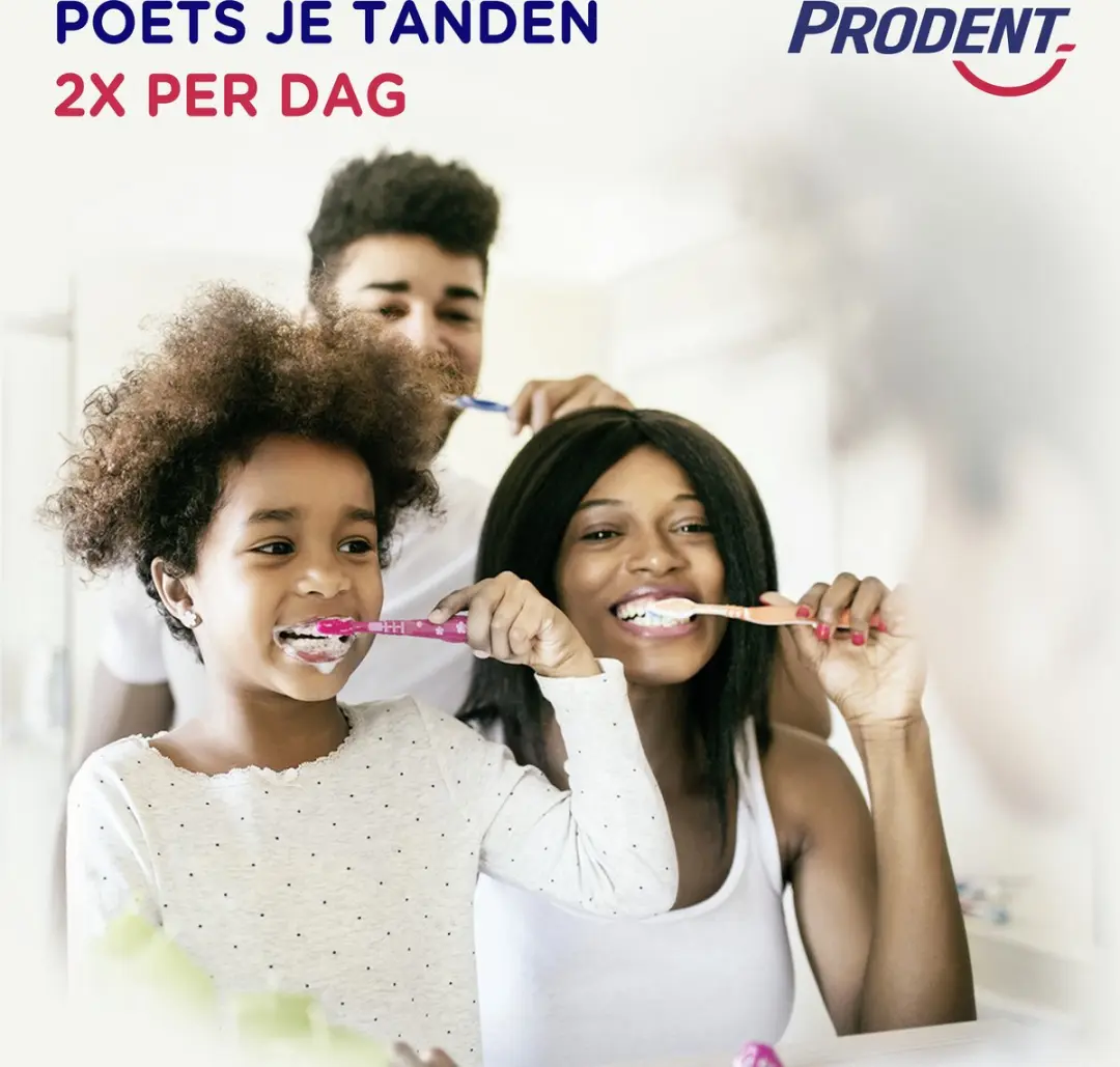 Prodent Cool Mint Tandpasta 75ml - 20 Stuks