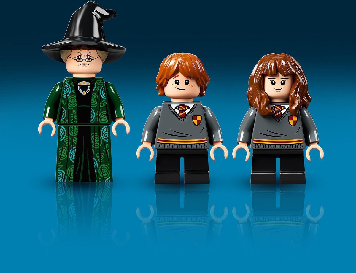 LEGO Harry Potter Zweinstein Moment: Transfiguratieles - 76382