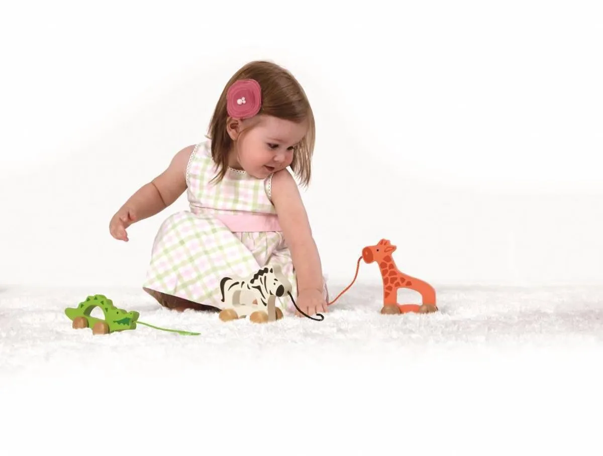 Hape Nachzieh-Giraffe - 1 Stuk - Multicolor