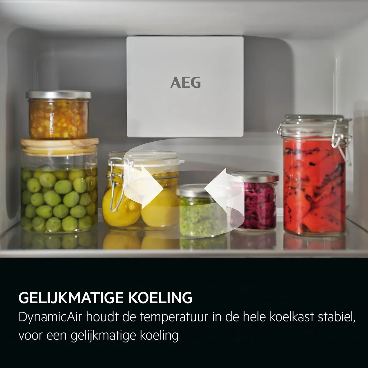 AEG TK6DS181DC Inbouwkoelkast 310L