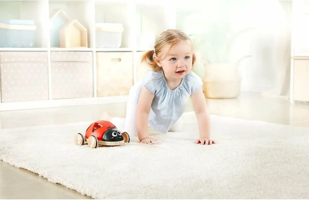 Hape Vorm-Sorteerder Lieveheersbeestje - Veelkleurig