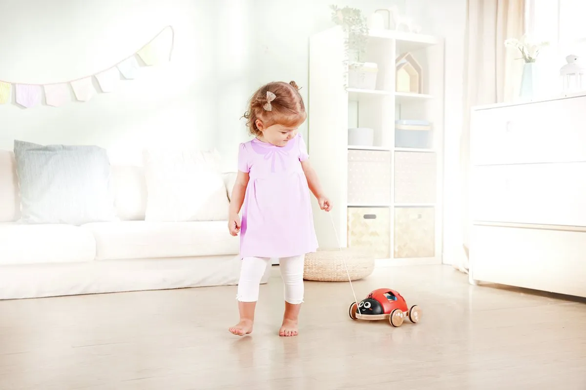 Hape Vorm-Sorteerder Lieveheersbeestje - Veelkleurig