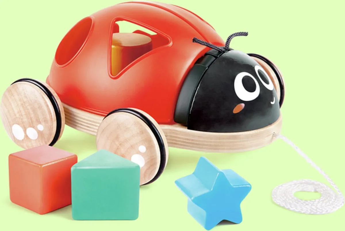 Hape Vorm-Sorteerder Lieveheersbeestje