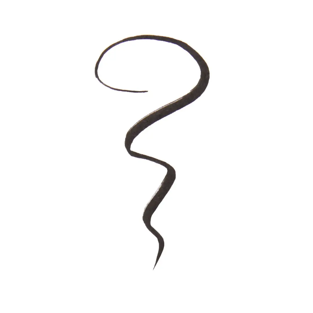 Makeup Revolution Renaissance Eyeliner - Zwart 0.8g