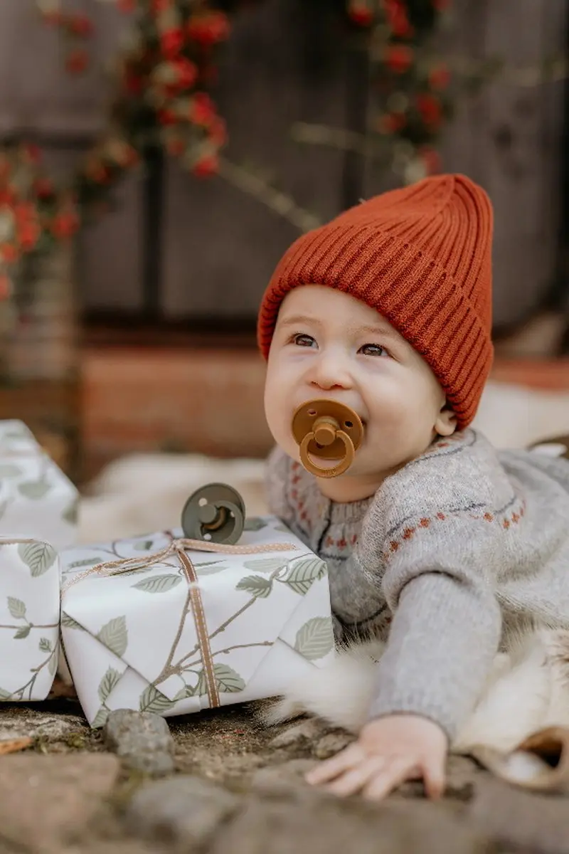 BIBS Colour Pacifier Stage 1 - 2 Stuks - Haze/Caramel