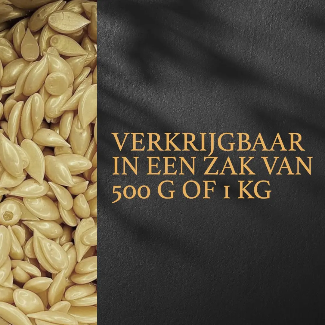 Italwax Film Wax White Chocolate 2kg - Hars voor glad waxen