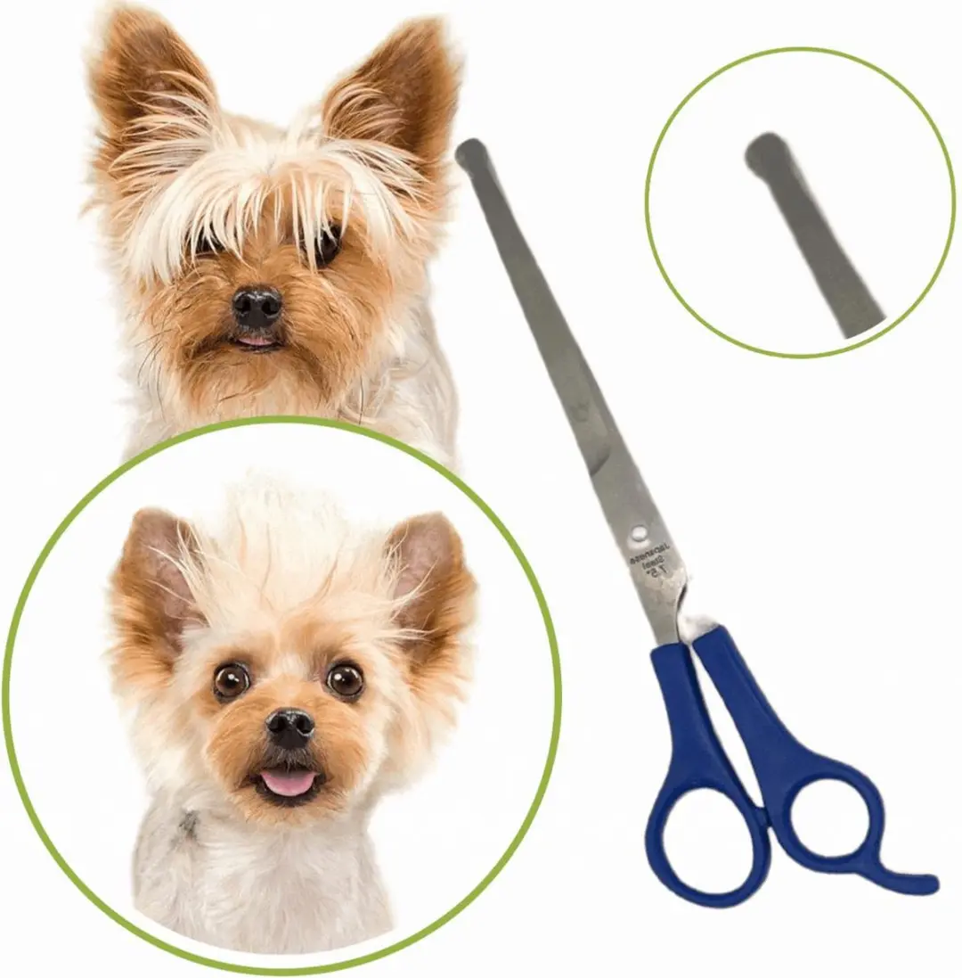 Guardian Beauty Huisdierenschaarset 5-delig - Roestvrijstaal - Rode handgreep