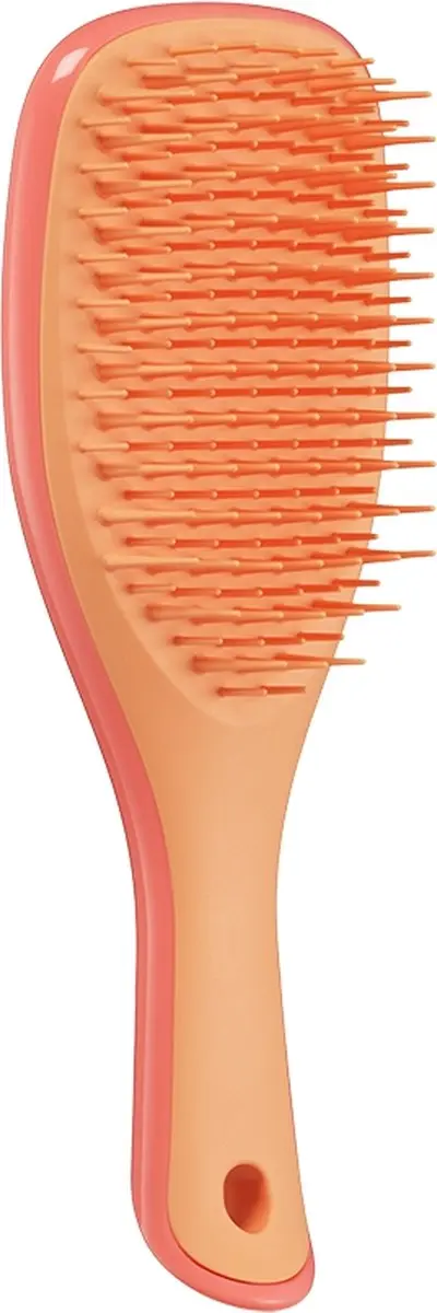 Tangle Teezer Ultimate Detangler Mini - Zalmroze