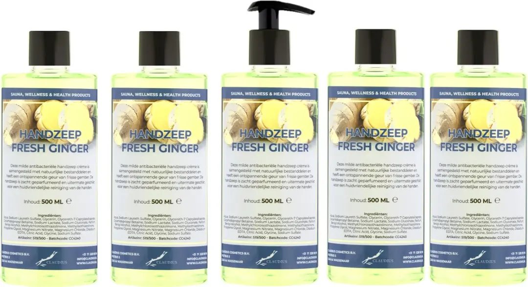 Splashbox Cosmetics Handzeep Fresh Ginger 500ml