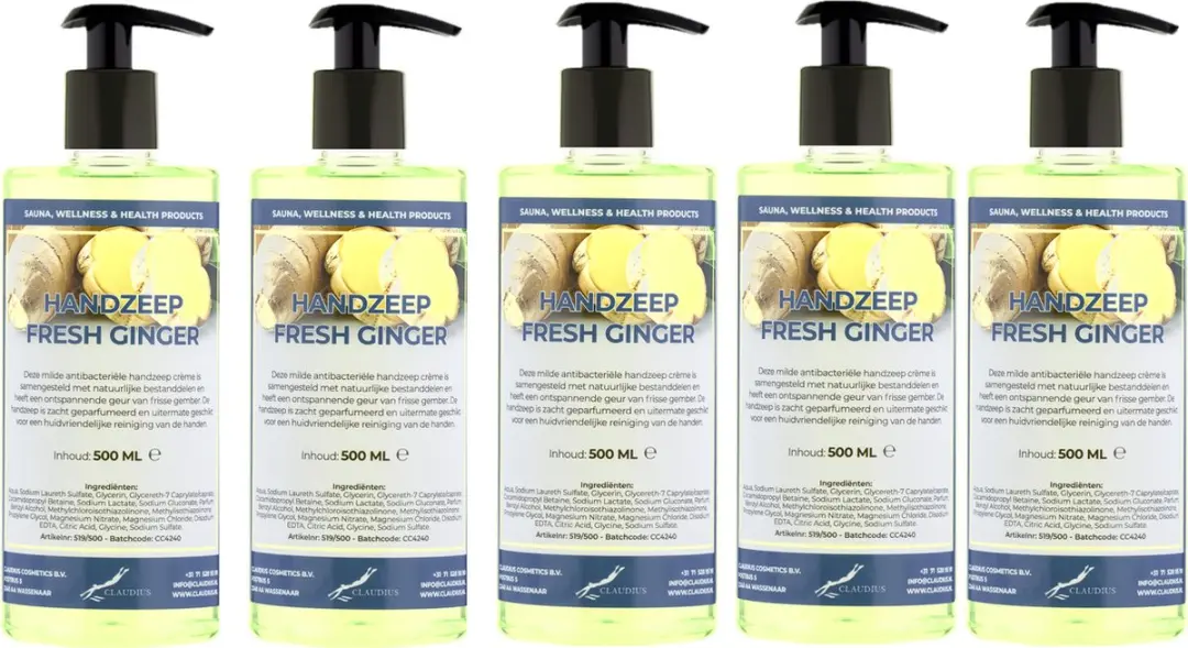Splashbox Cosmetics Handzeep Fresh Ginger 500ml - 3 Stuks