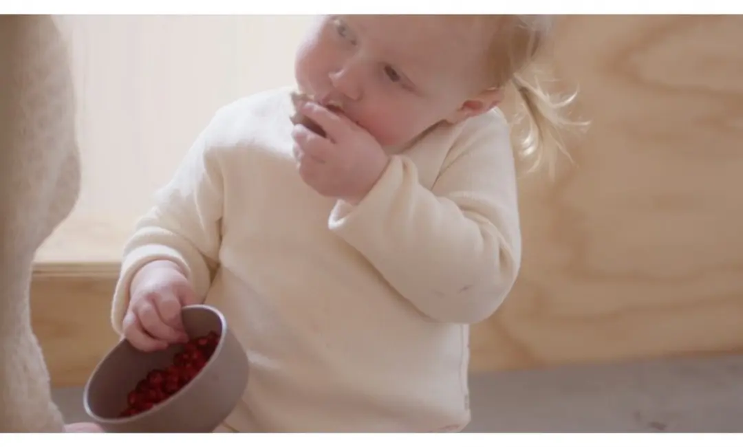 Dantoy Kommenset Baby BIOplastic - 2-delig - Meerkleurig