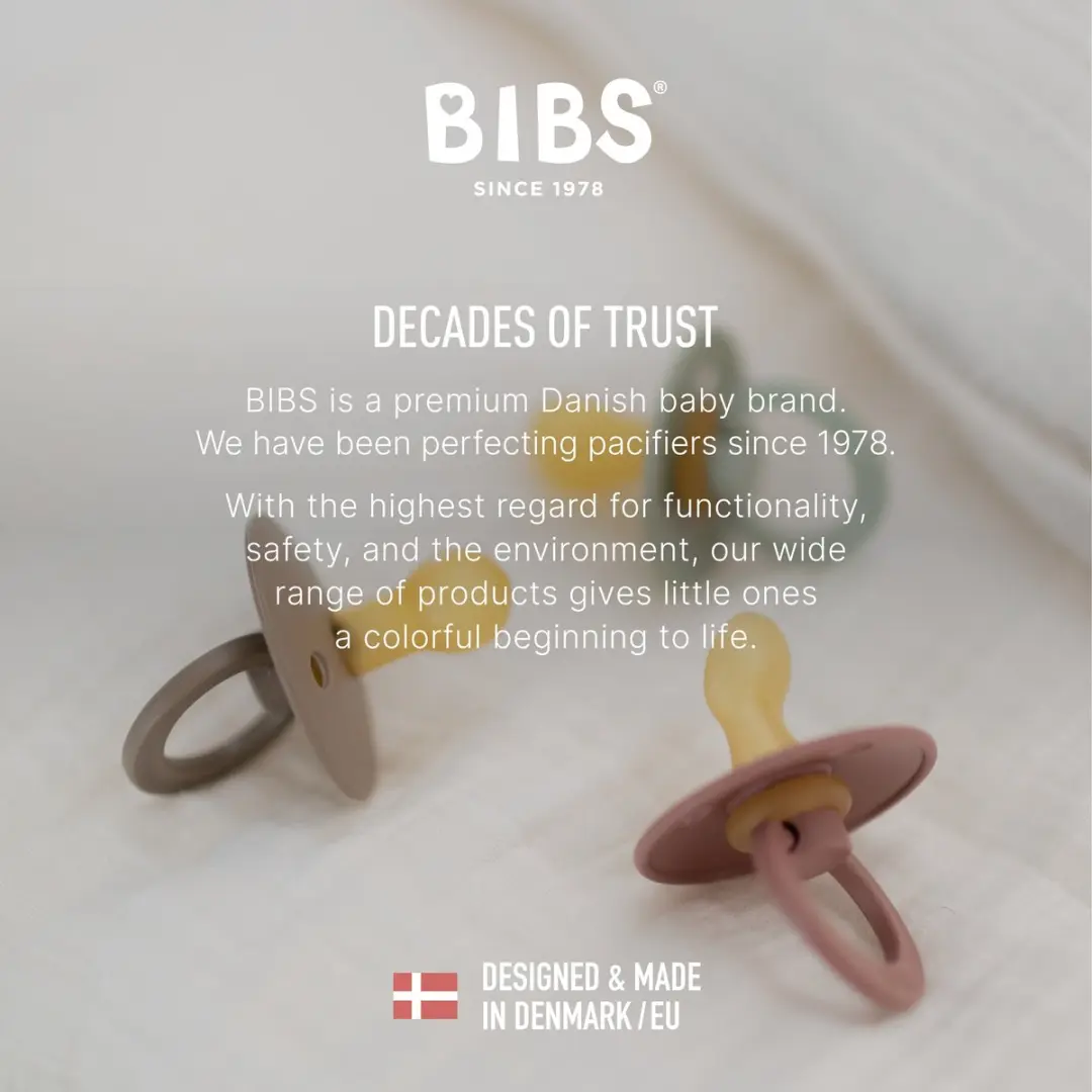 BIBS Colour Speen - Maat 1 0-6 maanden - 2 Stuks - Nordic Mint/Forest Lake