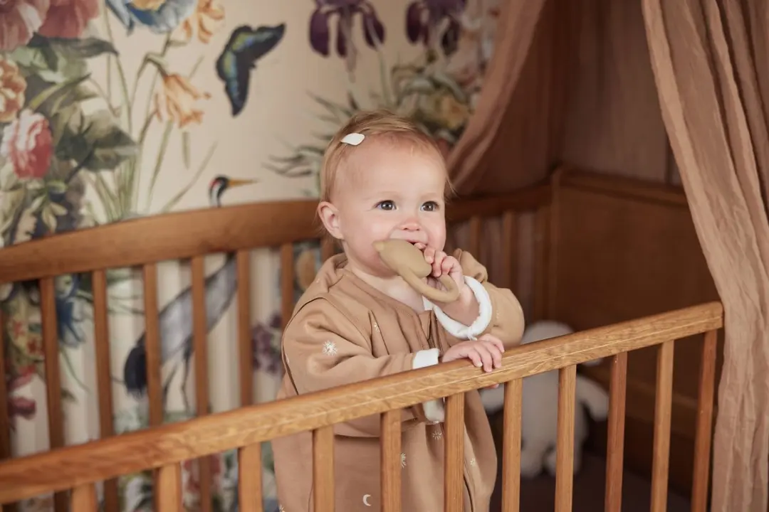 Jollein Bijtring Teddybeer Biscuit