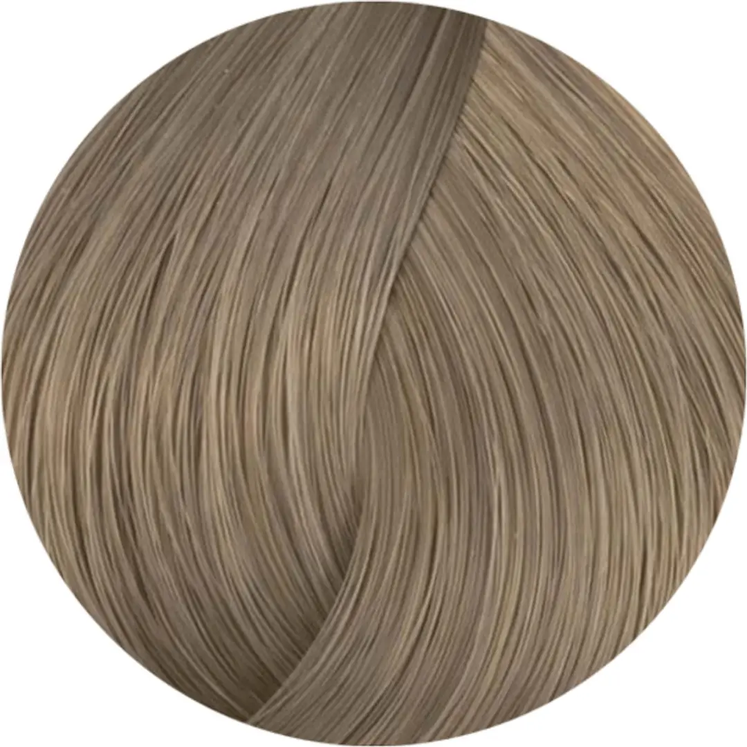 Elleure Haarverf Teinture Single Use 9.1 Permanent