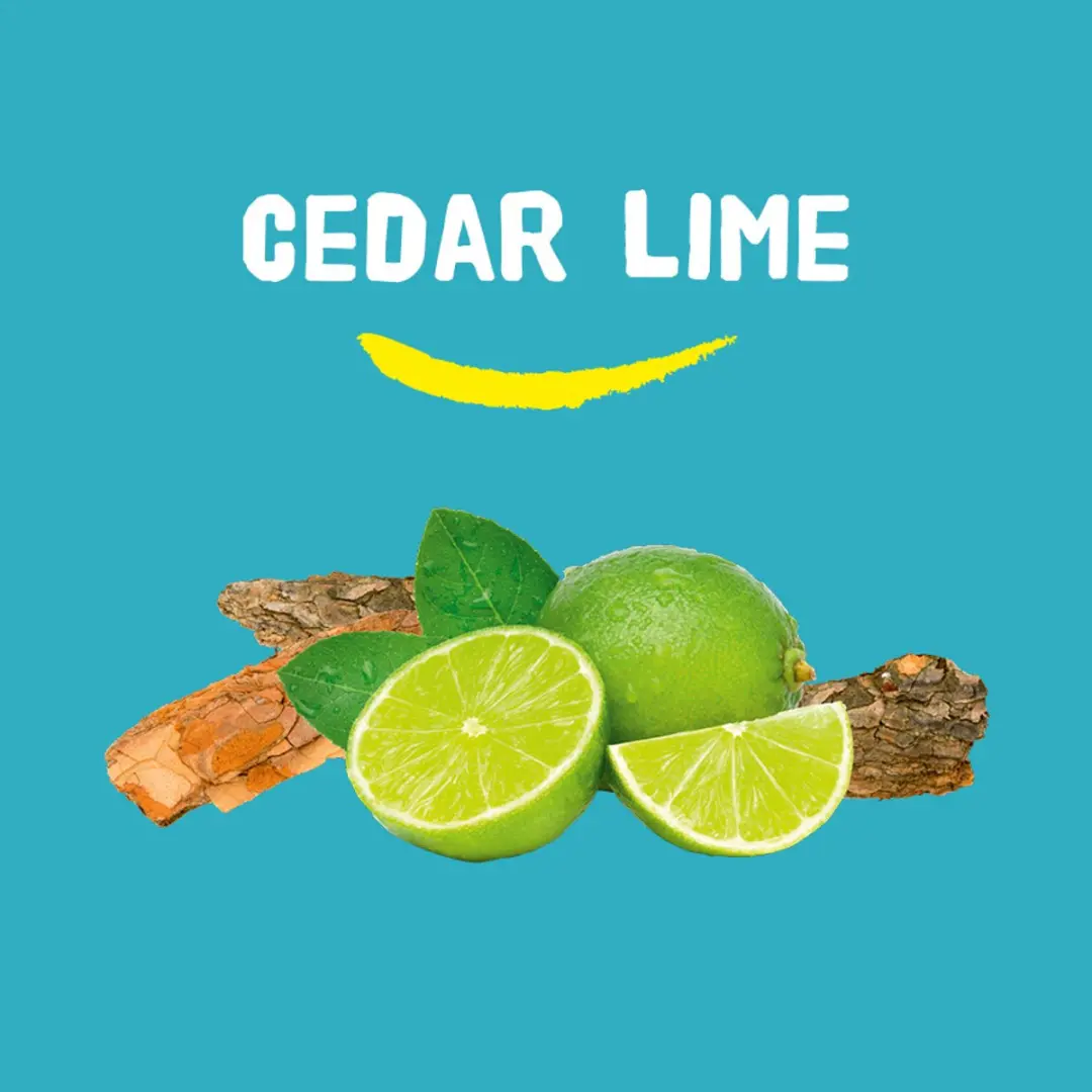 Happy Earth Deo Stick Cedar Lime 75ml - 6 Stuks