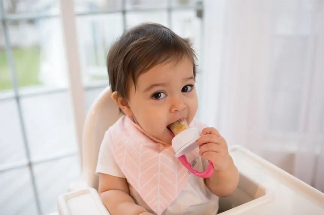 Dr. Brown's Fresh Firsts Feeder Roze